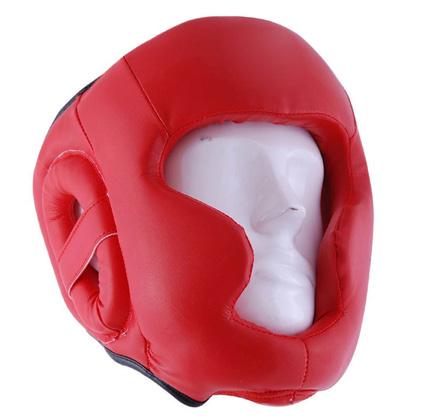 Head Guard