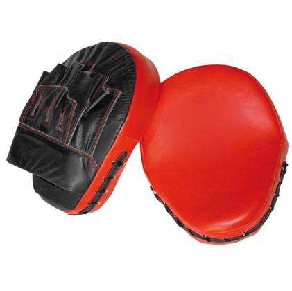 Focus Mitts