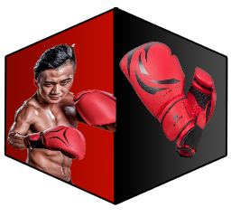 Fight Gear